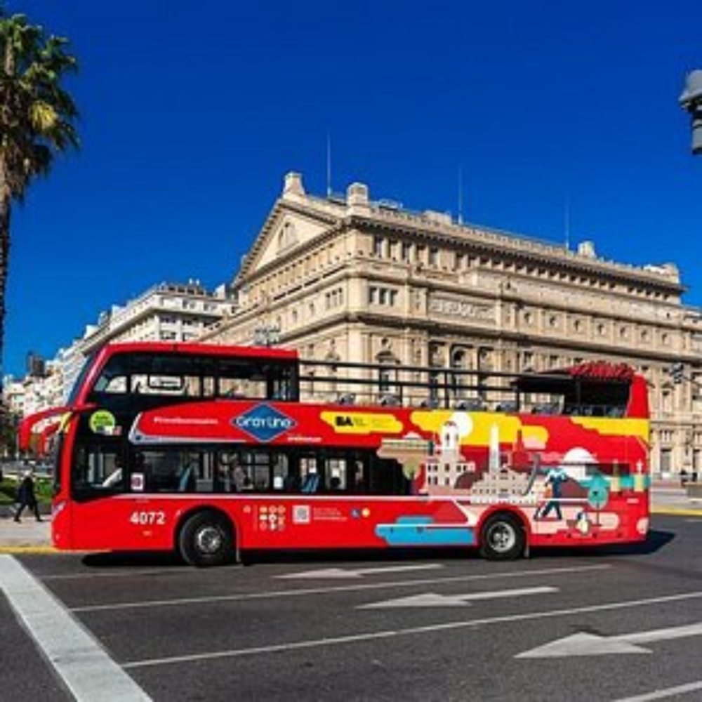 City Bus GRAYLINE