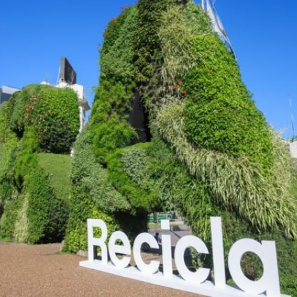 Ciudad Verde
