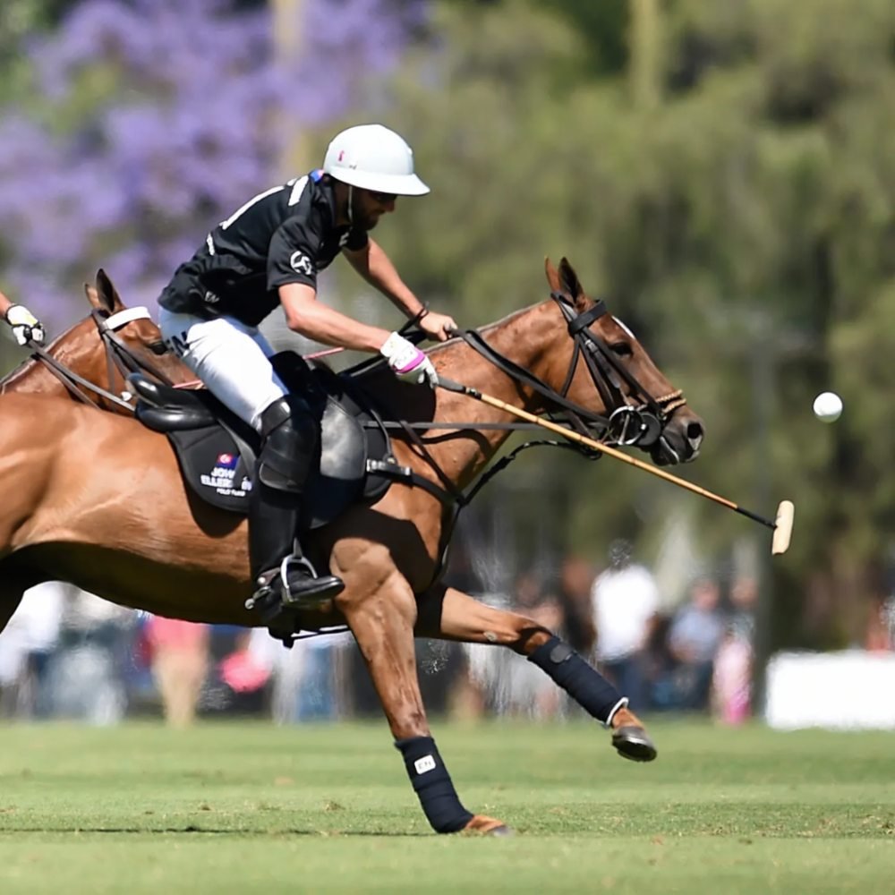 Polo Adventure