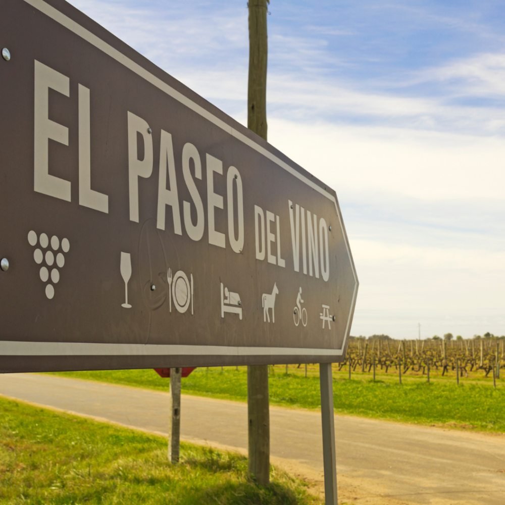 Day tour "Wine experience"