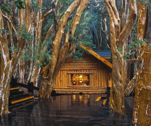 Isla Victoria y Bosque de Arrayanes