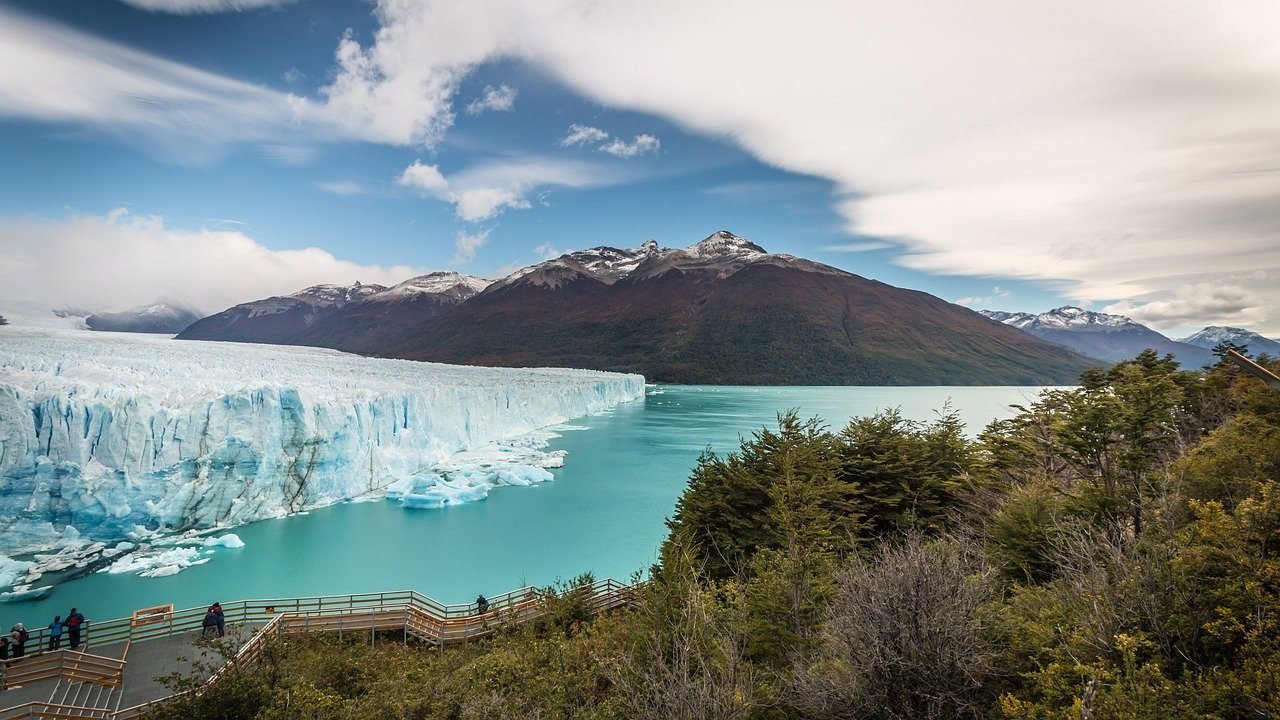 Calafate Clásico