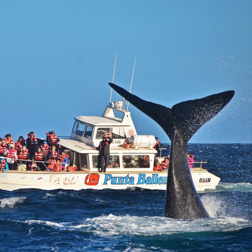 Puerto Madryn Clásico