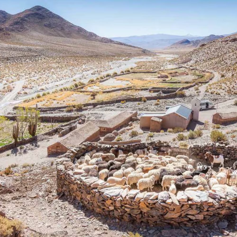 Salta y sus Valles Calchaquíes
