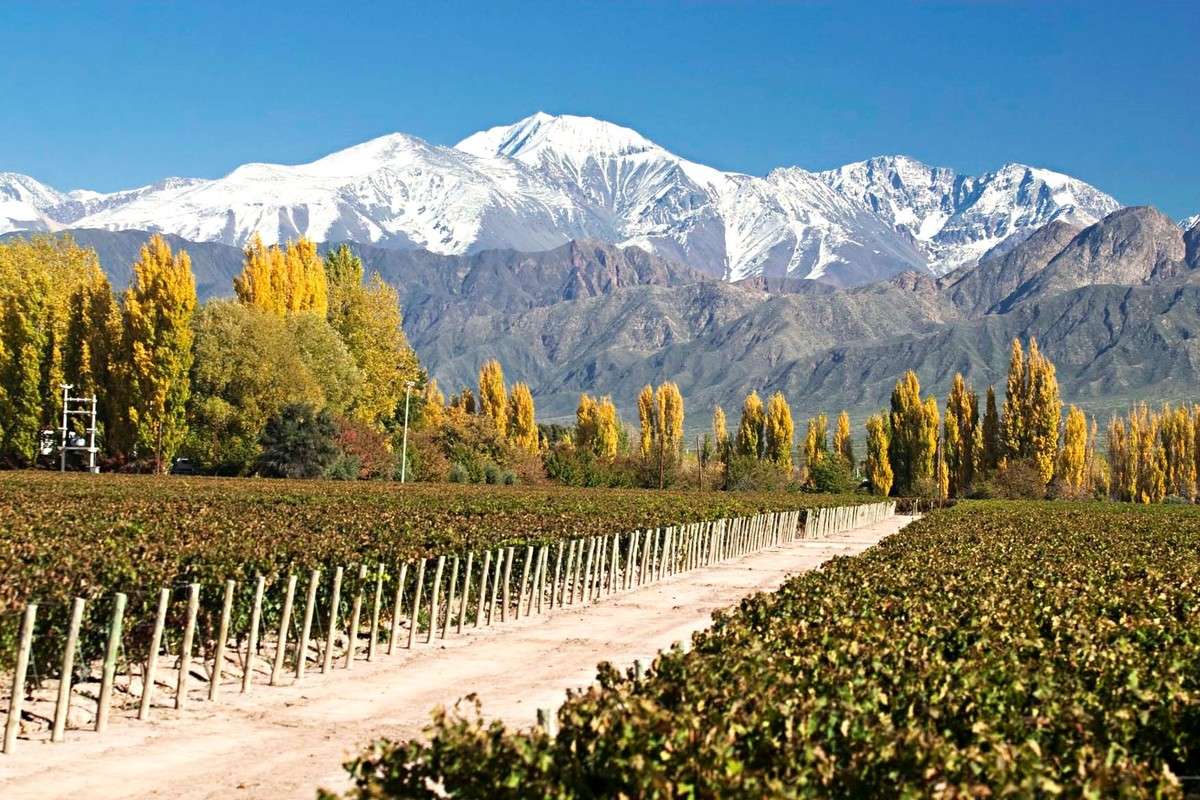 Tour a Bodegas - Luján