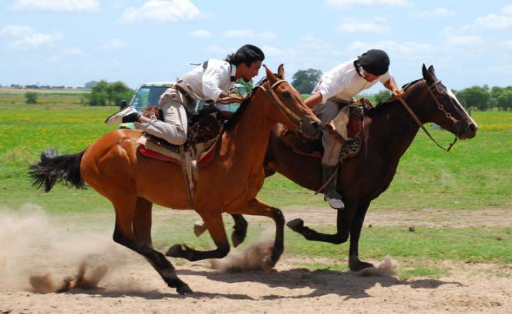 DIA GAUCHO - Estancia Don Silvano