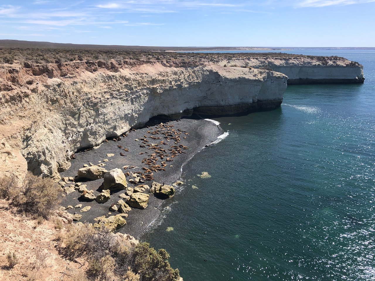 Loberia Punta Loma