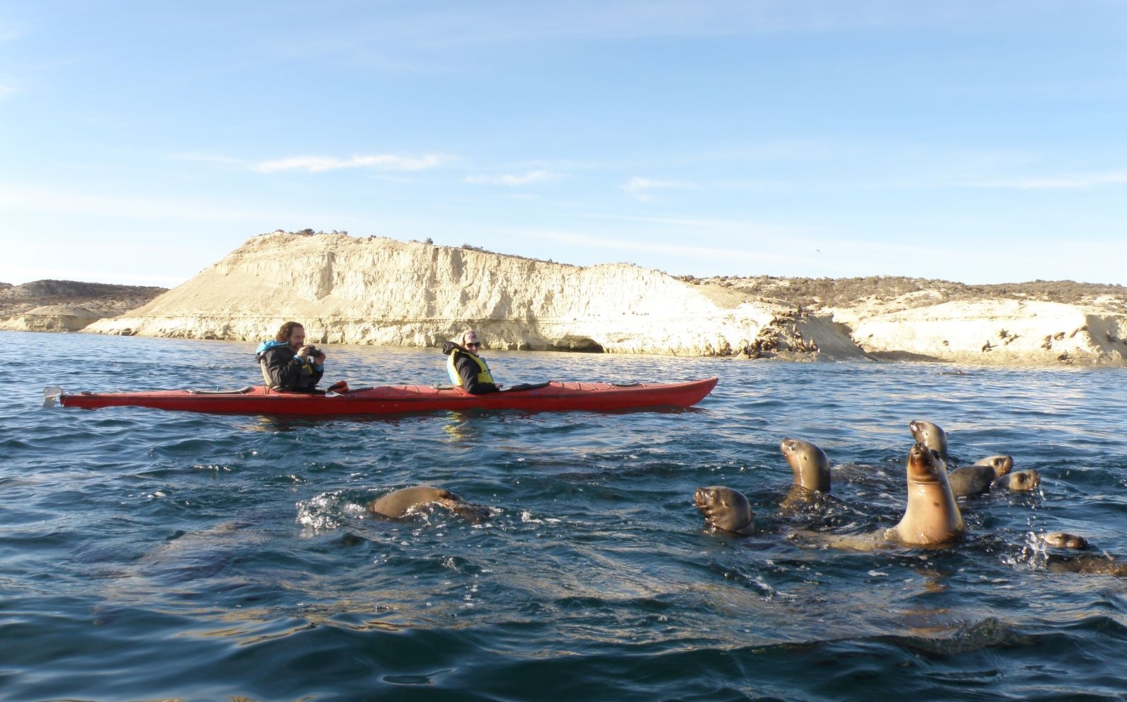 Kayak con los Lobos Marinos