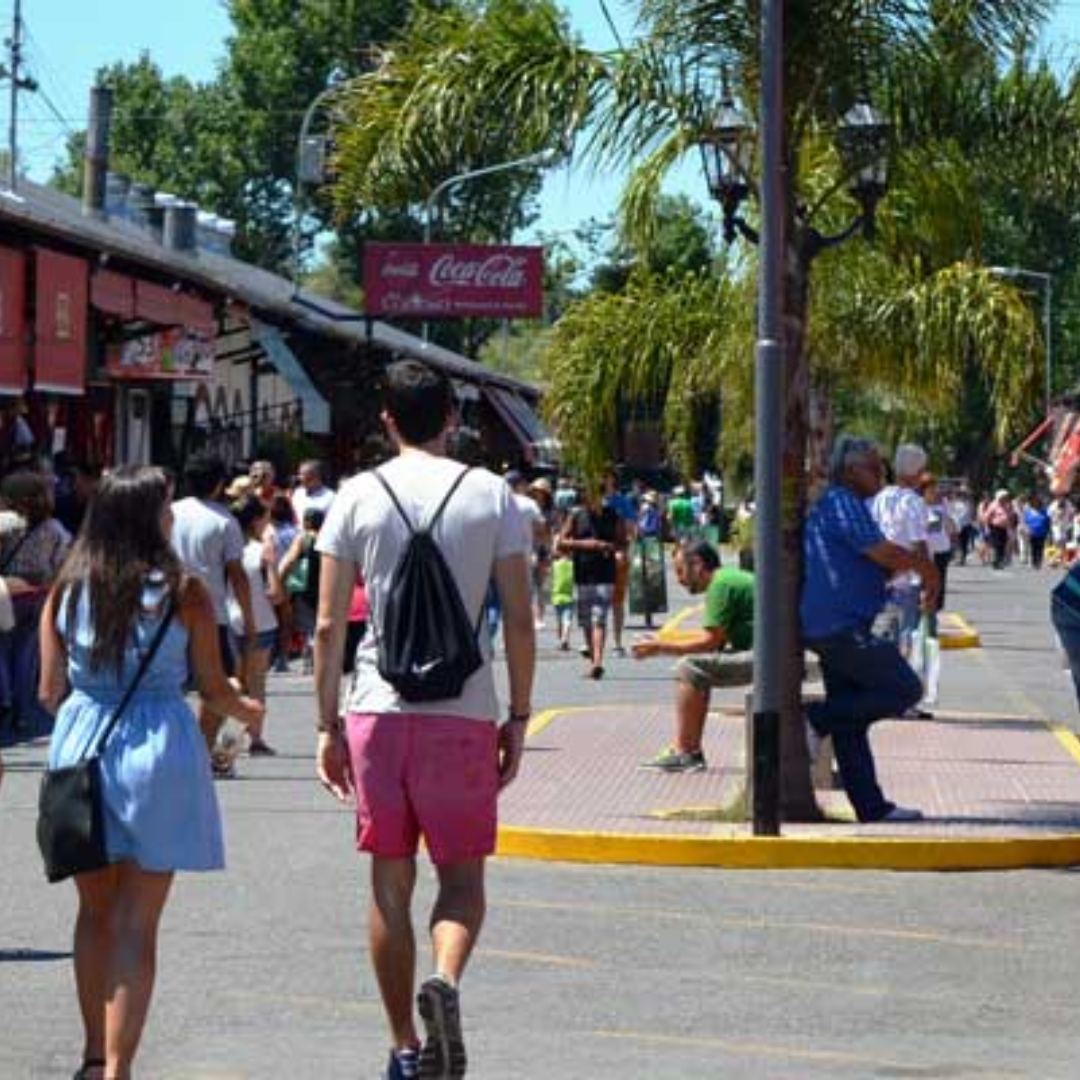 TIGRE Clásico AM / PM