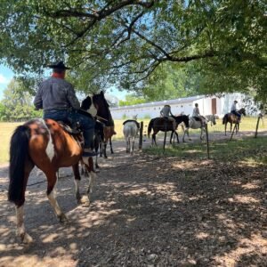 Estancia Don Silvano
