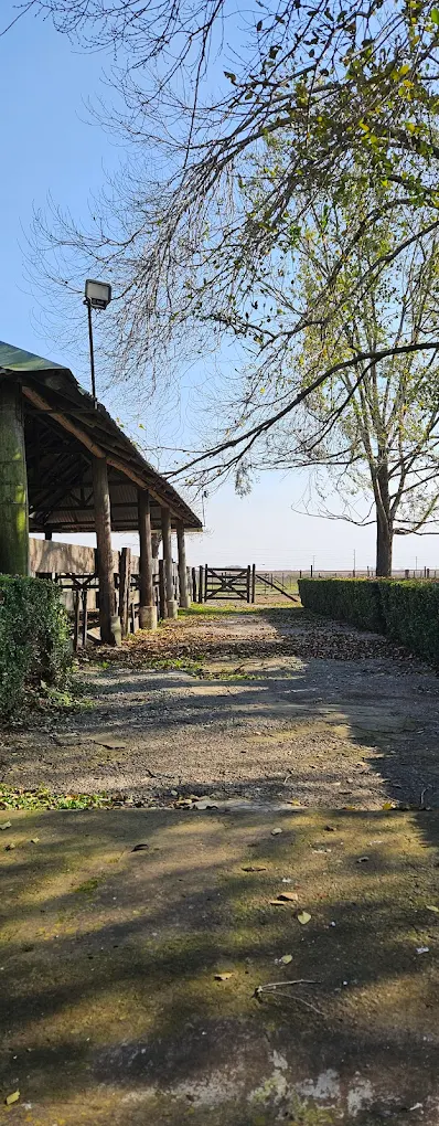 Santa Susana - Imagen 16