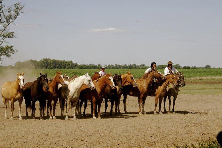 Santa Susana