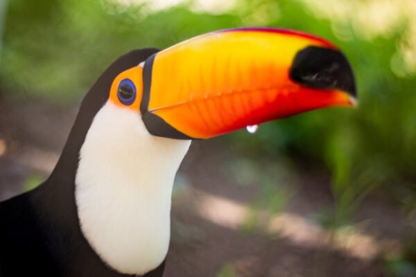 Biocentro de Iguazú