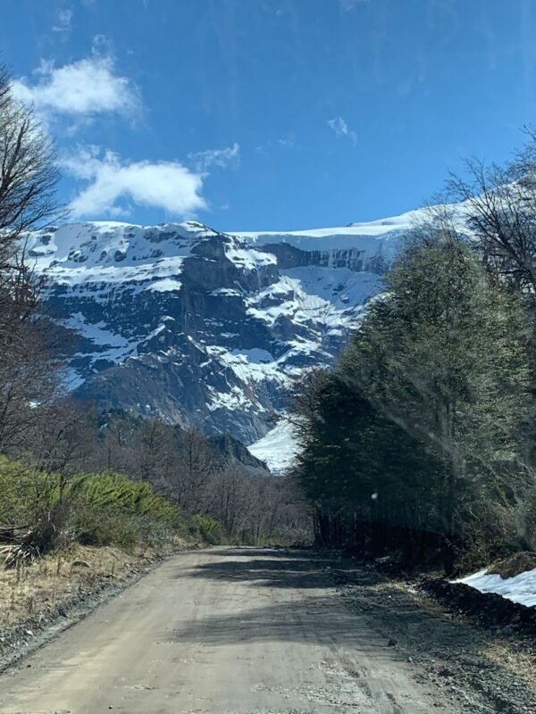 Cerro Tronador y Glaciar Negro - Imagen 4